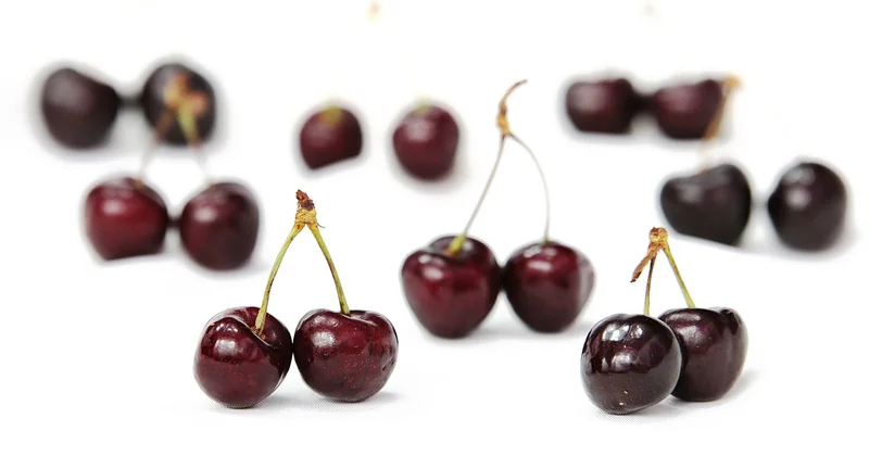 Comment réussir un clafoutis aux cerises moelleux et léger