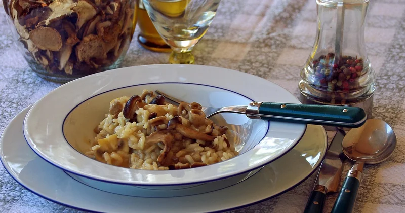 Quels champignons choisir et comment les cuire pour un risotto vegan qui a du goût
